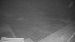 TJ Němčičky - Výstup z vleku - 30.11.2025 v 06:10 TJ Němčičky - Výstup z vleku - 30.11.2025 v 06:10