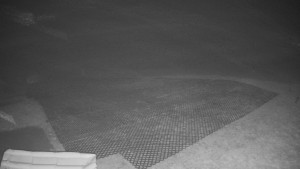 TJ Němčičky - Výstup z vleku - 30.11.2025 v 06:15 TJ Němčičky - Výstup z vleku - 30.11.2025 v 06:15