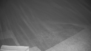 TJ Němčičky - Výstup z vleku - 30.11.2025 v 06:20 TJ Němčičky - Výstup z vleku - 30.11.2025 v 06:20