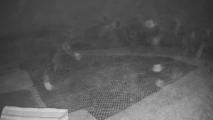 TJ Němčičky - Výstup z vleku - 30.11.2025 v 06:35 TJ Němčičky - Výstup z vleku - 30.11.2025 v 06:35