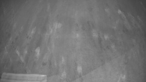 TJ Němčičky - Výstup z vleku - 30.11.2025 v 16:40 TJ Němčičky - Výstup z vleku - 30.11.2025 v 16:40