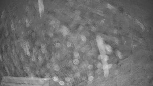 TJ Němčičky - Výstup z vleku - 30.11.2025 v 16:45 TJ Němčičky - Výstup z vleku - 30.11.2025 v 16:45