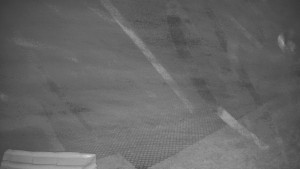 TJ Němčičky - Výstup z vleku - 30.11.2025 v 16:50 TJ Němčičky - Výstup z vleku - 30.11.2025 v 16:50