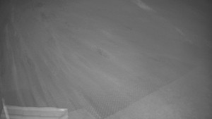 TJ Němčičky - Výstup z vleku - 30.11.2025 v 17:15 TJ Němčičky - Výstup z vleku - 30.11.2025 v 17:15