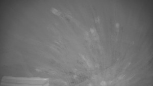 TJ Němčičky - Výstup z vleku - 7.12.2025 v 02:00 TJ Němčičky - Výstup z vleku - 7.12.2025 v 02:00