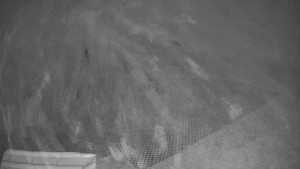 TJ Němčičky - Výstup z vleku - 7.12.2025 v 03:00 TJ Němčičky - Výstup z vleku - 7.12.2025 v 03:00