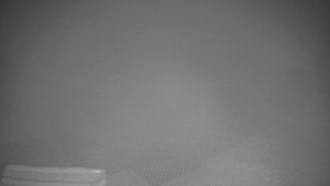 TJ Němčičky - Výstup z vleku - 9.12.2025 v 02:00 TJ Němčičky - Výstup z vleku - 9.12.2025 v 02:00