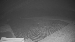 TJ Němčičky - Výstup z vleku - 9.12.2025 v 02:45 TJ Němčičky - Výstup z vleku - 9.12.2025 v 02:45