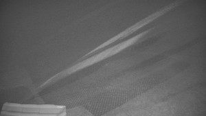 TJ Němčičky - Výstup z vleku - 9.12.2025 v 02:50 TJ Němčičky - Výstup z vleku - 9.12.2025 v 02:50