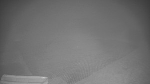 TJ Němčičky - Výstup z vleku - 9.12.2025 v 03:30 TJ Němčičky - Výstup z vleku - 9.12.2025 v 03:30