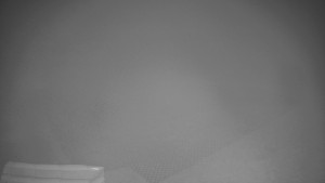 TJ Němčičky - Výstup z vleku - 9.12.2025 v 06:15 TJ Němčičky - Výstup z vleku - 9.12.2025 v 06:15