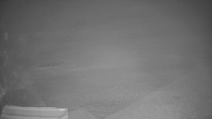 TJ Němčičky - Výstup z vleku - 9.12.2025 v 19:00 TJ Němčičky - Výstup z vleku - 9.12.2025 v 19:00