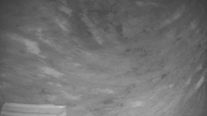 TJ Němčičky - Výstup z vleku - 9.12.2025 v 19:50 TJ Němčičky - Výstup z vleku - 9.12.2025 v 19:50