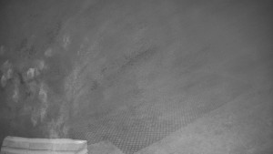 TJ Němčičky - Výstup z vleku - 9.12.2025 v 20:00 TJ Němčičky - Výstup z vleku - 9.12.2025 v 20:00