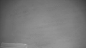 TJ Němčičky - Výstup z vleku - 9.12.2025 v 20:30 TJ Němčičky - Výstup z vleku - 9.12.2025 v 20:30