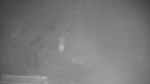 TJ Němčičky - Výstup z vleku - 9.12.2025 v 20:50 TJ Němčičky - Výstup z vleku - 9.12.2025 v 20:50