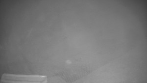 TJ Němčičky - Výstup z vleku - 9.12.2025 v 21:15 TJ Němčičky - Výstup z vleku - 9.12.2025 v 21:15