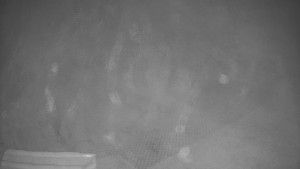 TJ Němčičky - Výstup z vleku - 9.12.2025 v 22:05 TJ Němčičky - Výstup z vleku - 9.12.2025 v 22:05