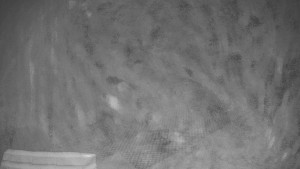 TJ Němčičky - Výstup z vleku - 9.12.2025 v 22:20 TJ Němčičky - Výstup z vleku - 9.12.2025 v 22:20