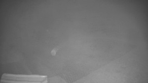 TJ Němčičky - Výstup z vleku - 9.12.2025 v 23:35 TJ Němčičky - Výstup z vleku - 9.12.2025 v 23:35