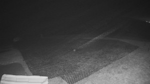 TJ Němčičky - Výstup z vleku - 15.12.2025 v 00:30 TJ Němčičky - Výstup z vleku - 15.12.2025 v 00:30