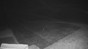 TJ Němčičky - Výstup z vleku - 15.12.2025 v 01:30 TJ Němčičky - Výstup z vleku - 15.12.2025 v 01:30