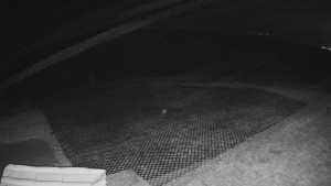 TJ Němčičky - Výstup z vleku - 15.12.2025 v 02:00 TJ Němčičky - Výstup z vleku - 15.12.2025 v 02:00