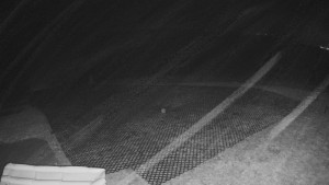 TJ Němčičky - Výstup z vleku - 15.12.2025 v 02:05 TJ Němčičky - Výstup z vleku - 15.12.2025 v 02:05