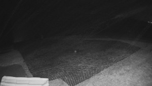 TJ Němčičky - Výstup z vleku - 15.12.2025 v 02:10 TJ Němčičky - Výstup z vleku - 15.12.2025 v 02:10