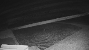 TJ Němčičky - Výstup z vleku - 15.12.2025 v 02:20 TJ Němčičky - Výstup z vleku - 15.12.2025 v 02:20