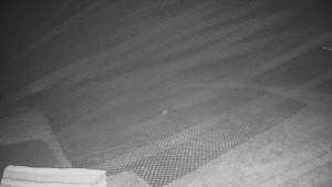 TJ Němčičky - Výstup z vleku - 15.12.2025 v 02:25 TJ Němčičky - Výstup z vleku - 15.12.2025 v 02:25