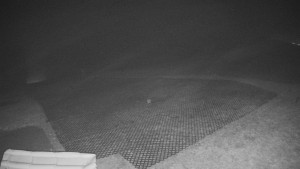 TJ Němčičky - Výstup z vleku - 15.12.2025 v 02:45 TJ Němčičky - Výstup z vleku - 15.12.2025 v 02:45