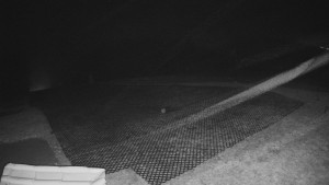 TJ Němčičky - Výstup z vleku - 15.12.2025 v 02:50 TJ Němčičky - Výstup z vleku - 15.12.2025 v 02:50