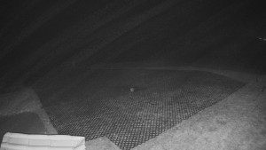 TJ Němčičky - Výstup z vleku - 15.12.2025 v 03:00 TJ Němčičky - Výstup z vleku - 15.12.2025 v 03:00