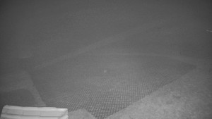 TJ Němčičky - Výstup z vleku - 15.12.2025 v 03:05 TJ Němčičky - Výstup z vleku - 15.12.2025 v 03:05