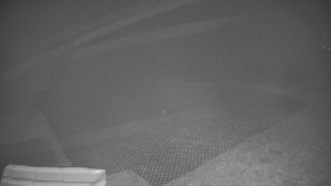 TJ Němčičky - Výstup z vleku - 15.12.2025 v 03:10 TJ Němčičky - Výstup z vleku - 15.12.2025 v 03:10