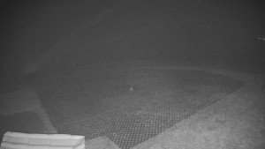 TJ Němčičky - Výstup z vleku - 15.12.2025 v 03:45 TJ Němčičky - Výstup z vleku - 15.12.2025 v 03:45