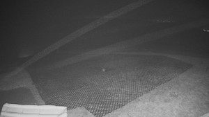 TJ Němčičky - Výstup z vleku - 15.12.2025 v 03:50 TJ Němčičky - Výstup z vleku - 15.12.2025 v 03:50