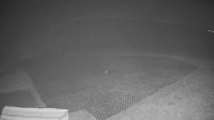 TJ Němčičky - Výstup z vleku - 15.12.2025 v 03:55 TJ Němčičky - Výstup z vleku - 15.12.2025 v 03:55