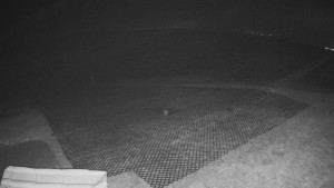 TJ Němčičky - Výstup z vleku - 15.12.2025 v 04:00 TJ Němčičky - Výstup z vleku - 15.12.2025 v 04:00