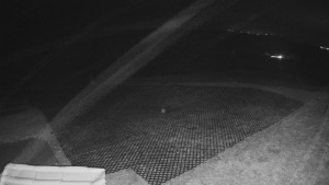 TJ Němčičky - Výstup z vleku - 15.12.2025 v 04:10 TJ Němčičky - Výstup z vleku - 15.12.2025 v 04:10