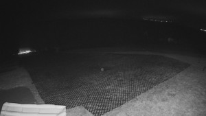 TJ Němčičky - Výstup z vleku - 15.12.2025 v 04:20 TJ Němčičky - Výstup z vleku - 15.12.2025 v 04:20