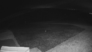 TJ Němčičky - Výstup z vleku - 15.12.2025 v 04:45 TJ Němčičky - Výstup z vleku - 15.12.2025 v 04:45