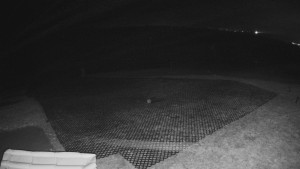 TJ Němčičky - Výstup z vleku - 15.12.2025 v 05:00 TJ Němčičky - Výstup z vleku - 15.12.2025 v 05:00