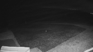 TJ Němčičky - Výstup z vleku - 15.12.2025 v 05:05 TJ Němčičky - Výstup z vleku - 15.12.2025 v 05:05