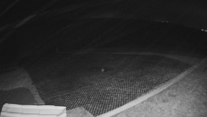 TJ Němčičky - Výstup z vleku - 15.12.2025 v 05:15 TJ Němčičky - Výstup z vleku - 15.12.2025 v 05:15