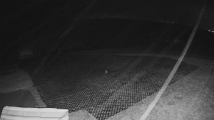 TJ Němčičky - Výstup z vleku - 15.12.2025 v 05:20 TJ Němčičky - Výstup z vleku - 15.12.2025 v 05:20