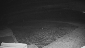 TJ Němčičky - Výstup z vleku - 15.12.2025 v 05:25 TJ Němčičky - Výstup z vleku - 15.12.2025 v 05:25