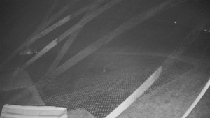 TJ Němčičky - Výstup z vleku - 15.12.2025 v 05:30 TJ Němčičky - Výstup z vleku - 15.12.2025 v 05:30