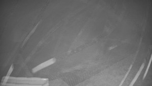 TJ Němčičky - Výstup z vleku - 15.12.2025 v 06:35 TJ Němčičky - Výstup z vleku - 15.12.2025 v 06:35